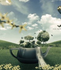 Teapot