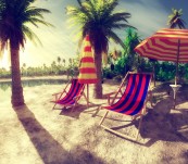 Vacation